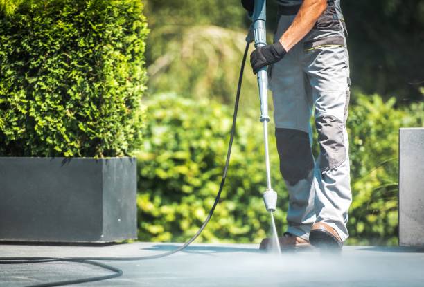 Best Pre-Holiday Cleaning  in Buffalo, MN