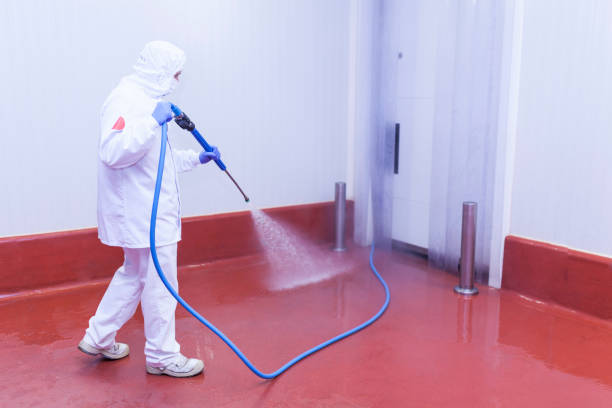 Best Paint Preparation  in Buffalo, MN