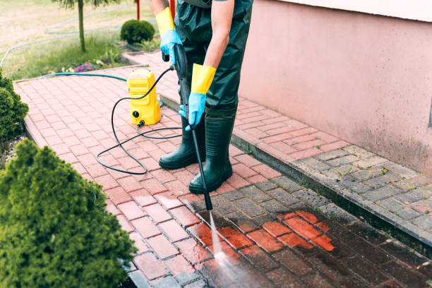 Best House Exterior Washing  in Buffalo, MN
