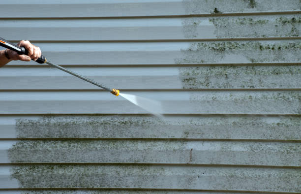 Animal Enclosure Cleaning in Buffalo, MN
