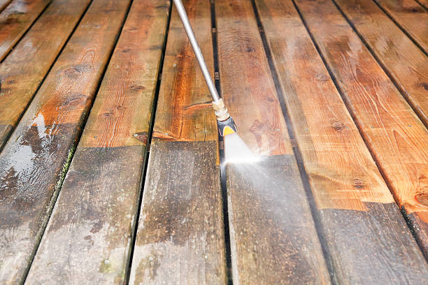 Best Gutter Cleaning  in Buffalo, MN